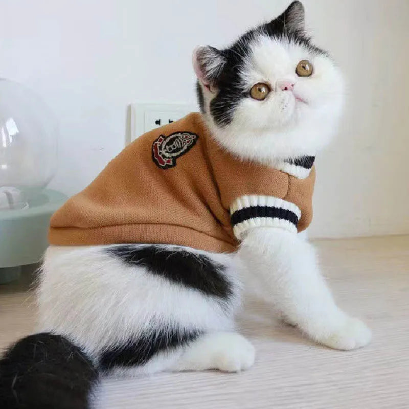 Cat Sweater