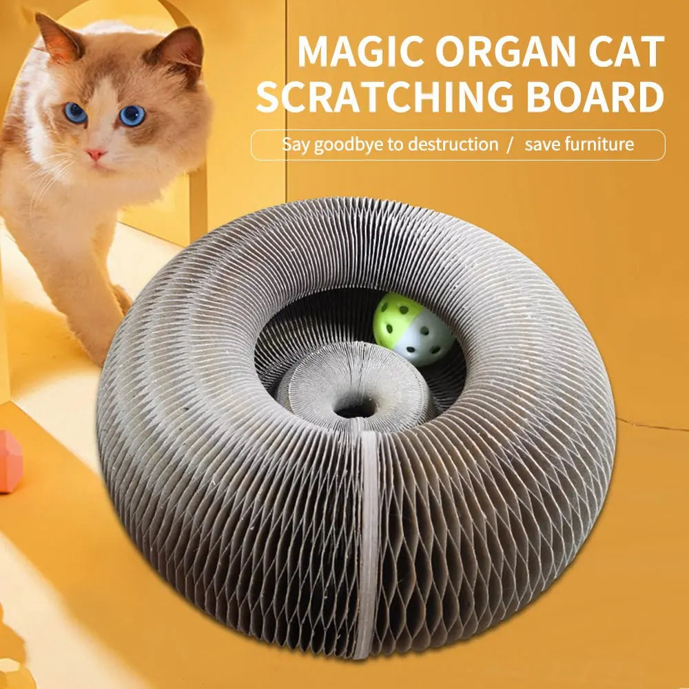 Magic Organ Foldable Cat Scratch Board