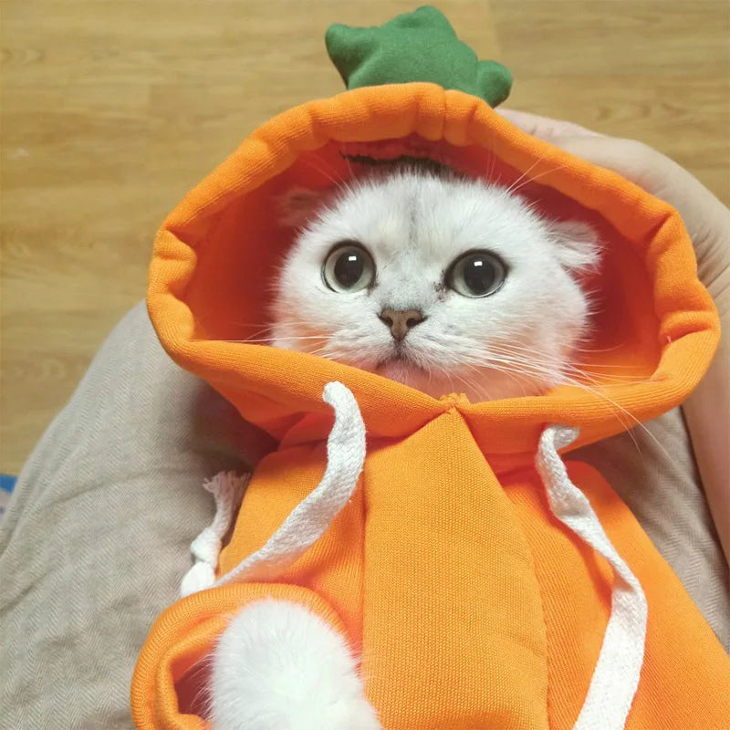 Cat Cosplay Hoodies