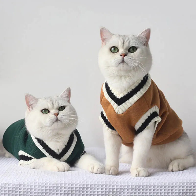 Cat Sweater